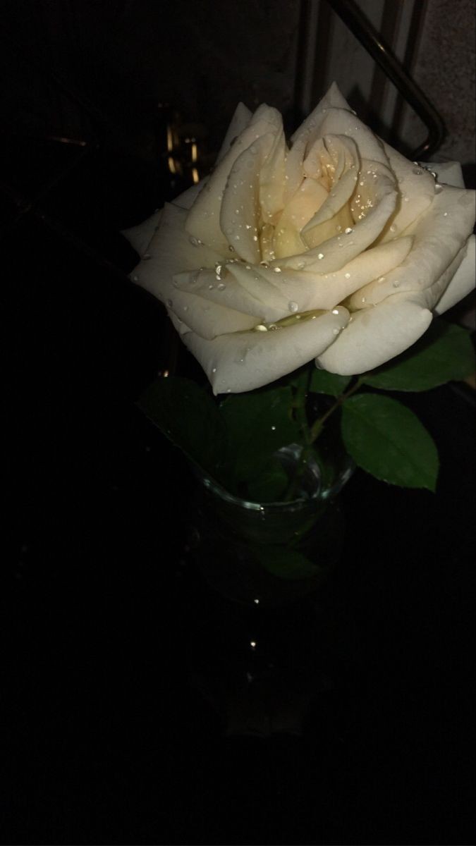 صورة المعلم